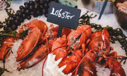photo of a plate of lobsters